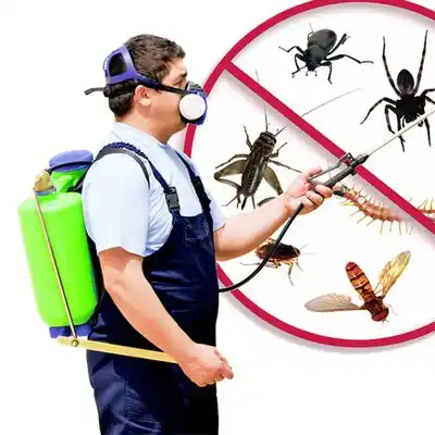 pest control Archdale